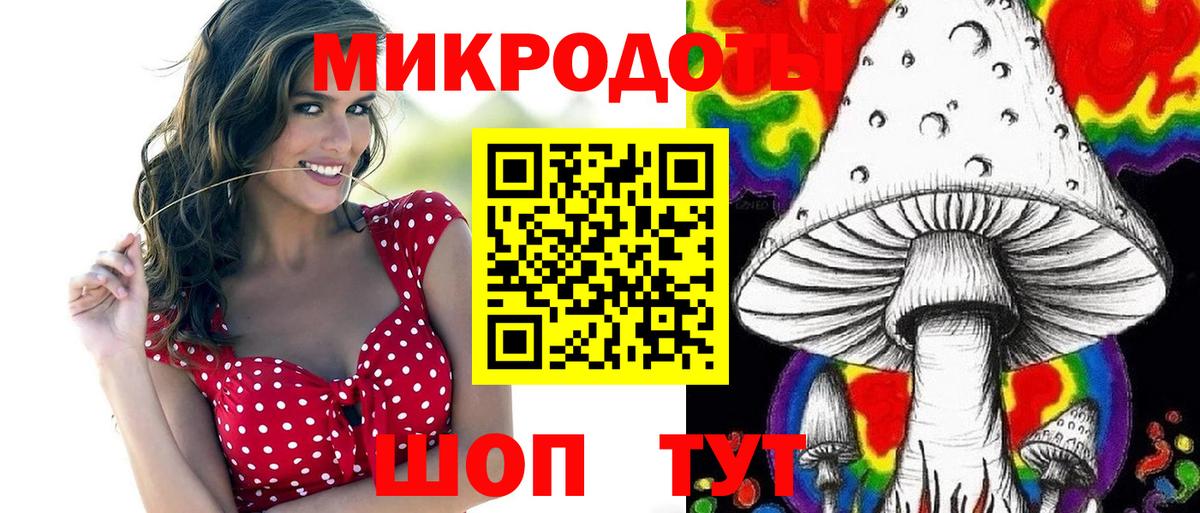 Псилоцибиновые грибы мицелий Светлоград
