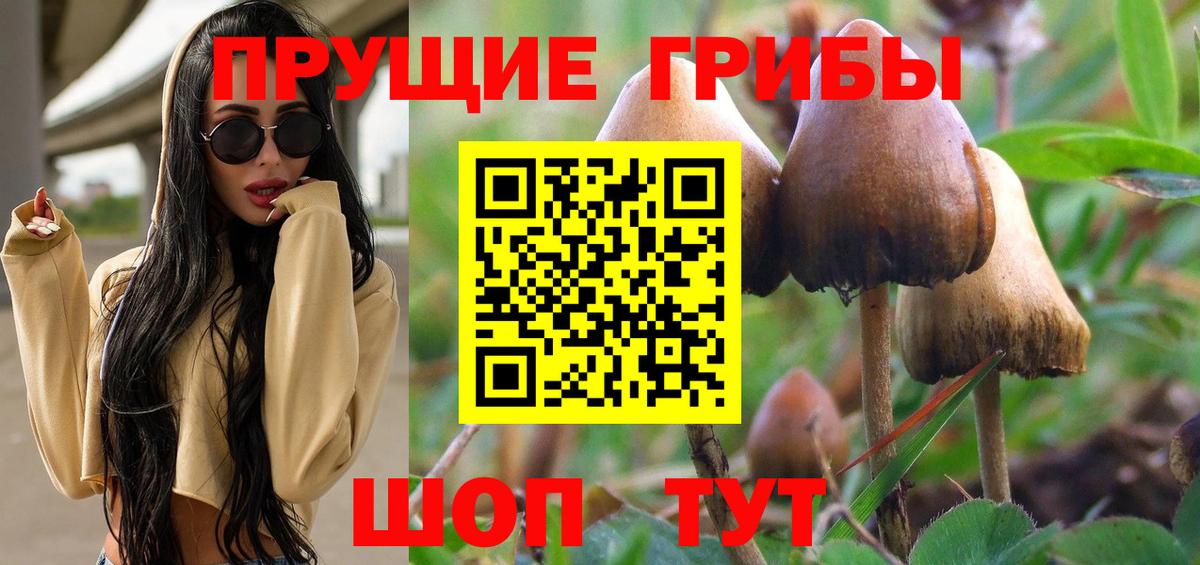 Светлоград  Псилоцибиновые грибы Psilocybe  Псилоцибиновые грибы мухоморы  Вход с VPN 